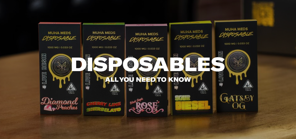 Disposables: All You Need to Know